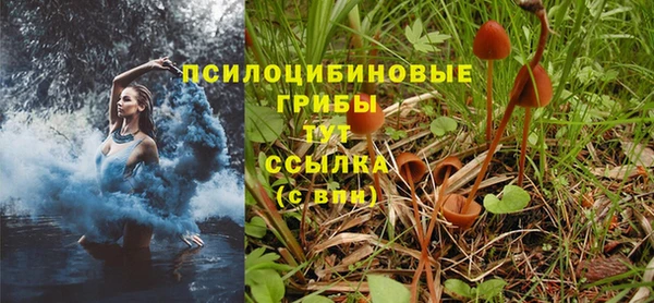 мескалин Алексеевка